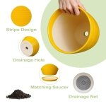 EPFamily Ceramic Pots for Plants - 6 Inch Plant Pot for Indoor Plants, Ceramic Planter with Drainage Hole and Saucer, Round Decorative Flower Pots, Desk Home Decor, Plant Lover Gifts, Glossy-Yellow - Image 7
