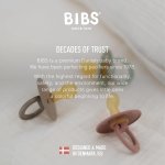 BIBS Pacifiers Colour Collection | Natural Rubber Baby Pacifier | Round Nipple | Set of 2 BPA-Free Soothers | Made in Denmark | 0+ Months (Pack of 2) | Sage/Ivory - Image 7