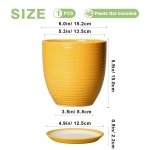 EPFamily Ceramic Pots for Plants - 6 Inch Plant Pot for Indoor Plants, Ceramic Planter with Drainage Hole and Saucer, Round Decorative Flower Pots, Desk Home Decor, Plant Lover Gifts, Glossy-Yellow - Image 2