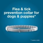 Seresto 8-Month Flea & Tick Collar for Large Dogs Over 18 lbs., 1ct - Image 4