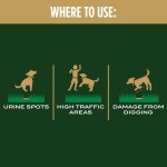 Scotts EZ Seed Dog Spot Repair Sun and Shade, 2 lbs. - Image 7