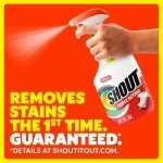 Shout Triple-Acting Active Enzyme Laundry Stain Remover Spray, 22oz - Image 2