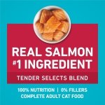 Purina ONE Tender Selects Dry Cat Food, Salmon, 7 lb Bag - Image 4