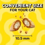 Temptations MixUps Crunchy and Soft Cat Treats, Catnip Fever, 16 oz - Image 9