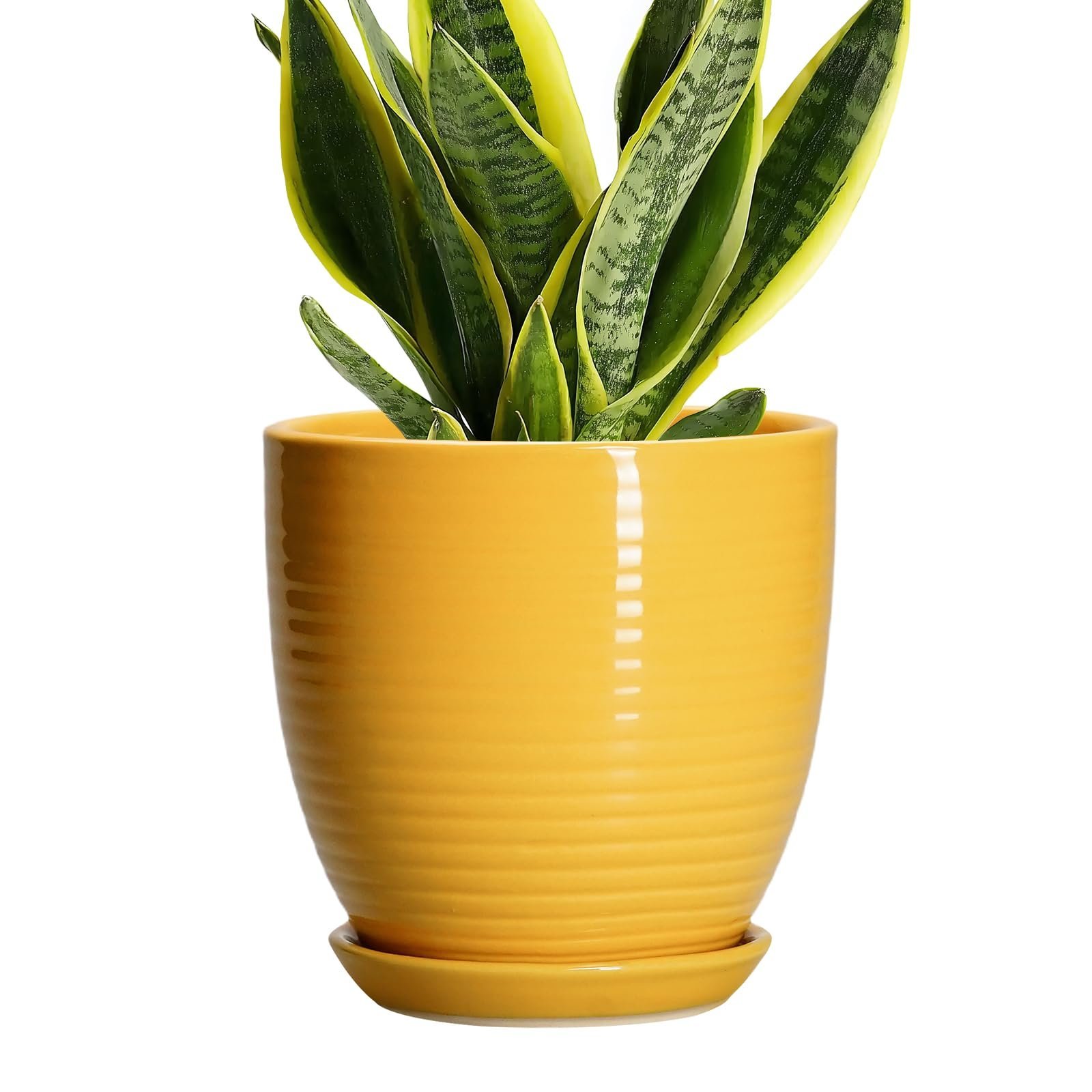 EPFamily Ceramic Pots for Plants - 6 Inch Plant Pot for Indoor Plants, Ceramic Planter with Drainage Hole and Saucer, Round Decorative Flower Pots, Desk Home Decor, Plant Lover Gifts, Glossy-Yellow