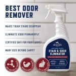 Rocco & Roxie Enzyme Stain & Odor Eliminator, 32 Fl Oz - Image 6