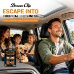 Car Air Freshener Vent Clip, 4 Pack Odor-Fighting Auto Fresheners for women - Image 3