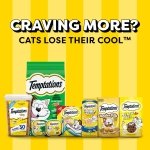Temptations MixUps Crunchy and Soft Cat Treats, Catnip Fever, 16 oz - Image 12