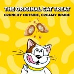 Temptations Classic Crunchy and Soft Cat Treats, Tasty Chicken, 30 oz - Image 3