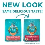Purina ONE Tender Selects Dry Cat Food, Salmon, 7 lb Bag - Image 2