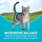 Purina ONE Tender Selects Dry Cat Food, Salmon, 7 lb Bag - Image 3