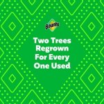 Bounty Select-A-Size Paper Towels, White, 2 Triple Rolls = 6 Regular Rolls - Image 11