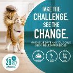 Purina ONE Tender Selects Dry Cat Food, Salmon, 7 lb Bag - Image 11
