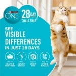 Purina ONE Tender Selects Dry Cat Food, Salmon, 7 lb Bag - Image 8
