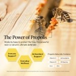 Beekeeper's Naturals Propolis Throat Spray for Daily Immune Support, 1 oz - Image 3