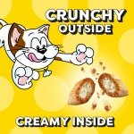 Temptations MixUps Crunchy and Soft Cat Treats, Catnip Fever, 16 oz - Image 5