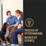 Purina Pro Plan Sensitive Skin & Stomach Dry Dog Food, Salmon, 30 lb Bag - Image 10