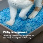 PetSafe ScoopFree Premium Crystal Litter, Fresh Scent, 4.3 Lb Bag, 2 Pack - Image 8