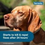 Seresto 8-Month Flea & Tick Collar for Large Dogs Over 18 lbs., 1ct - Image 5