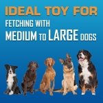 Nerf Dog Atomic Flyer Outdoor Dog Toy, 10 Inch Flying Disc Dog Fetch Toy, Rubber Dog Toy for Medium Dogs and Large Dogs, Red - Image 7