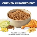Hill's Science Diet Adult 1-6 Small & Mini Dry Dog Food - Image 3