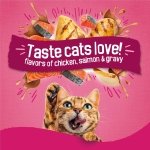Purina Friskies Gravy Swirlers Dry Cat Food, Chicken & Salmon, 3.15 lb Bag - Image 2