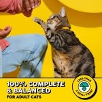 Temptations Classic Crunchy and Soft Cat Treats, Tasty Chicken, 30 oz - Image 4