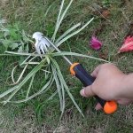 SIXCAR Weed Remover Tool,Portable Garden Weeder Tool,New Gardening Weeding Tools,for Garden Hand Tools for Vegetable Gardening Backyard Farm Planting & Uprooting Weeding Tool (Rubber Handle) - Image 5