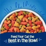 Friskies Purina Seafood Sensations Dry Cat Food, 22 lb Bag - Image 7