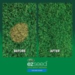 Scotts EZ Seed Dog Spot Repair Sun and Shade, 2 lbs. - Image 3
