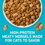 Purina ONE Tender Selects Dry Cat Food, Salmon, 7 lb Bag - Image 7