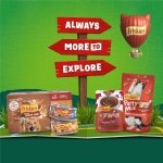 Purina Friskies Gravy Swirlers Dry Cat Food, Chicken & Salmon, 3.15 lb Bag - Image 9