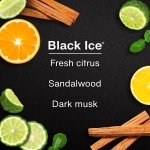 LITTLE TREES Car Air Freshener | Fiber Can Provides Long Lasting Scent for Auto or Home | Recycled Fiber | Black Ice, 4 Air Fresheners - Image 4